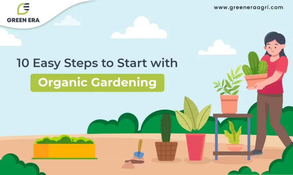 How To Start An Organic Garden