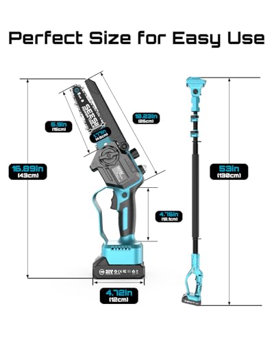 Seesii PS600 Cordless Pole Chainsaw Review