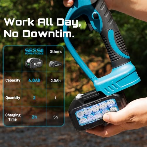 Seesii PS041Pro Cordless Pole Chainsaw Review
