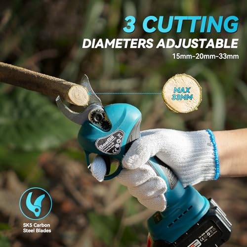 Seesii PS600 PRO Cordless Pole Chainsaw Review