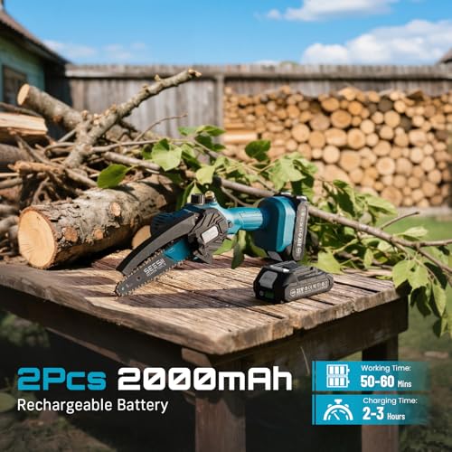 Seesii CH600+ Cordless Chainsaw Review