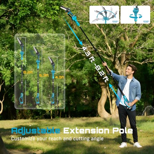 Seesii PS3-1 Cordless Pole Chainsaw Review